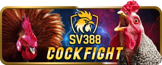 Chương trình VIP 58win app